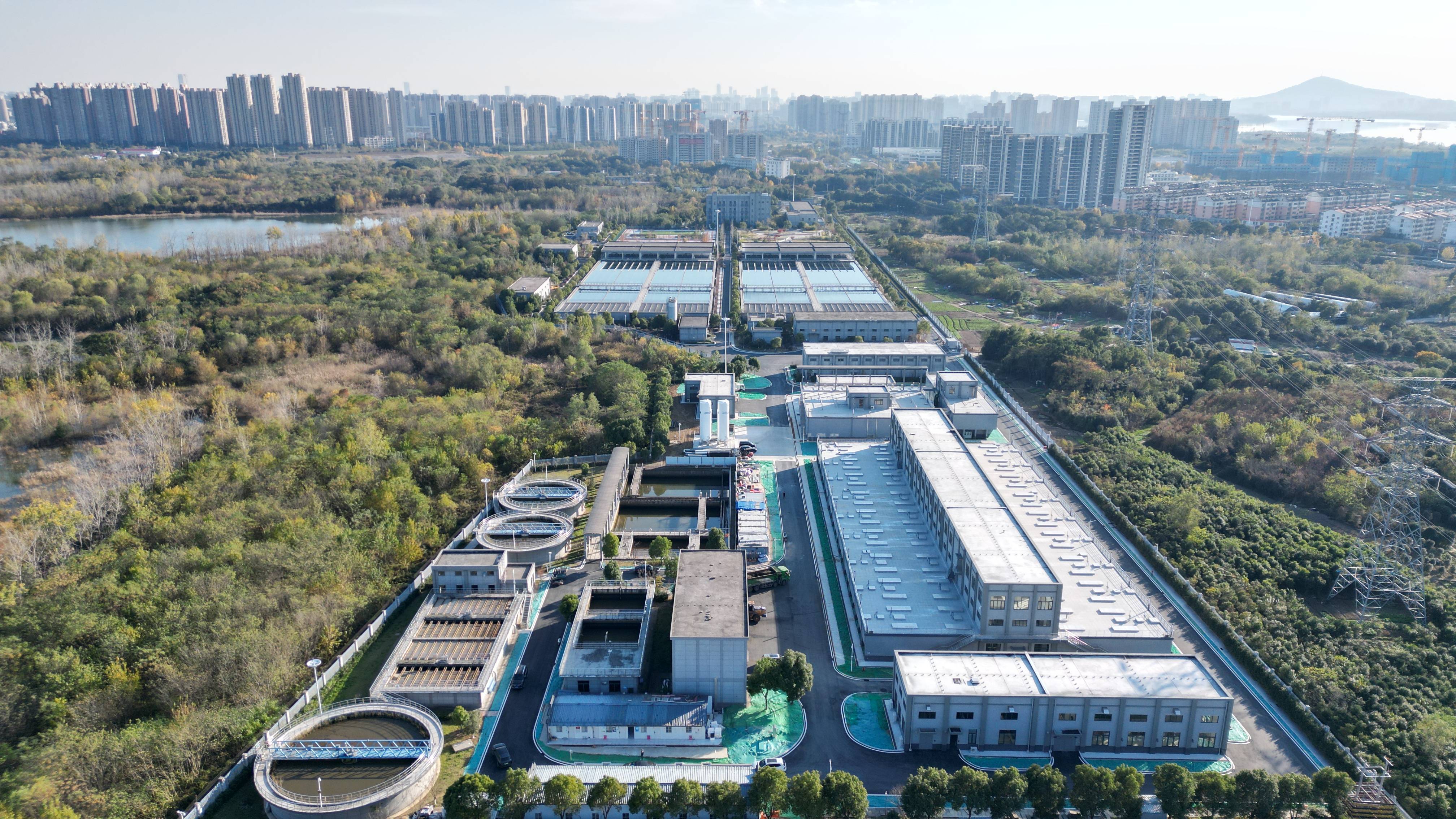 盐城市合肥专业企业价值增长(合肥市重点企业产业目录)