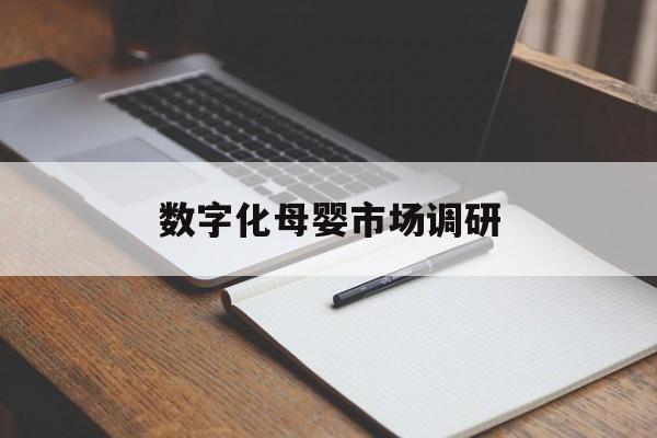 盐城市数字化母婴市场调研(数字化母婴市场调研报告)